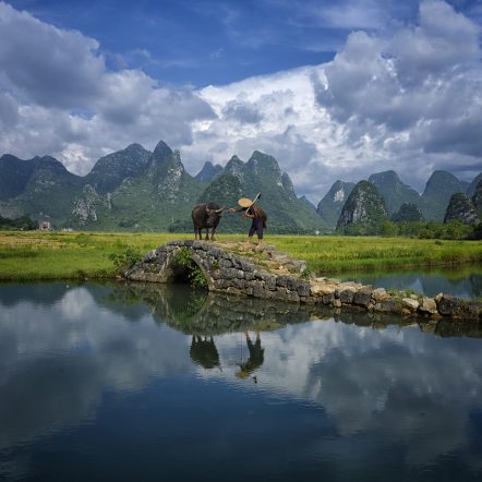 Landscape
